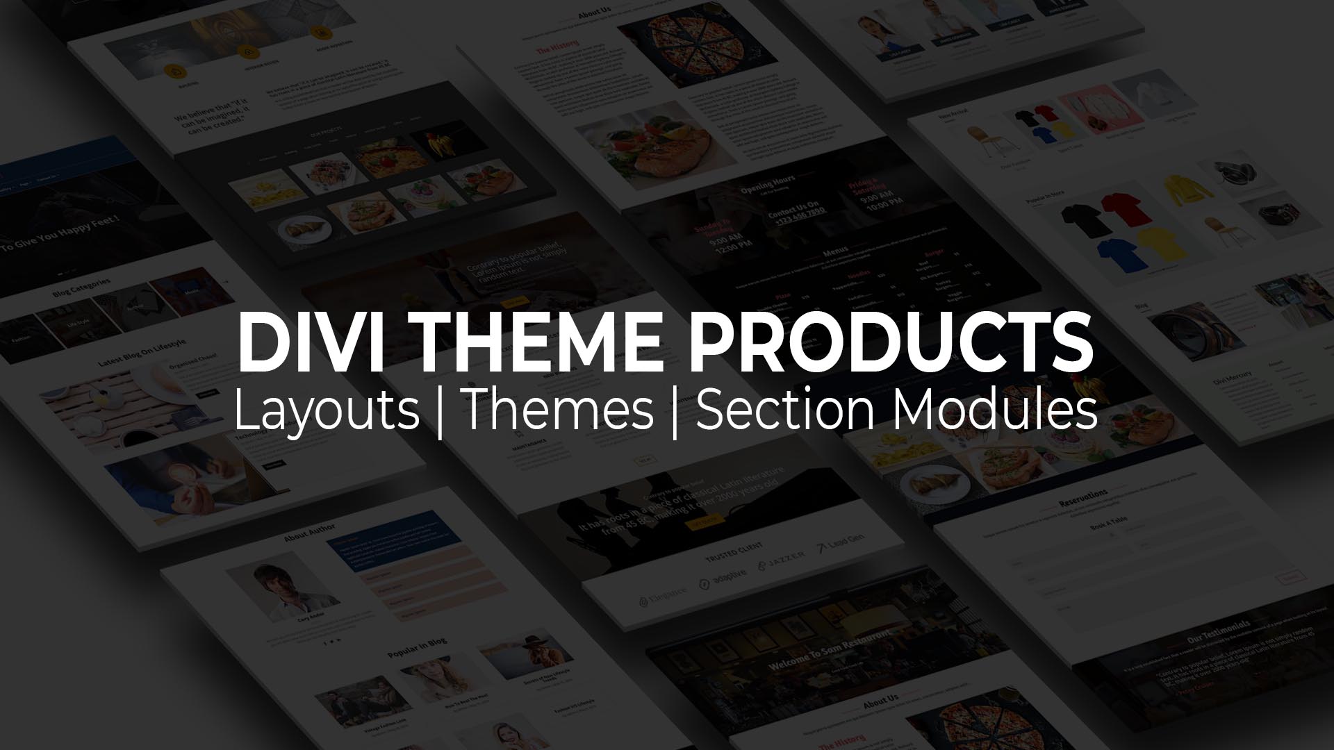 Divi Theme Products - premade Templates